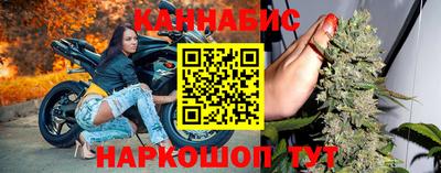 шишки Владимир