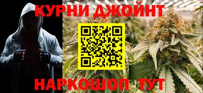 шишки Владимир