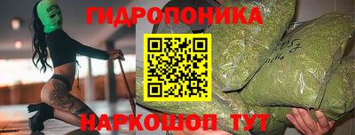 прущие грибы Владивосток
