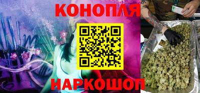 прущие грибы Владивосток