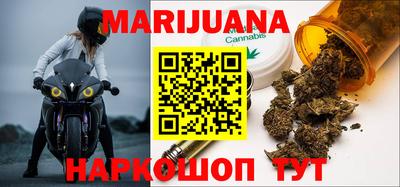 шишки Владимир