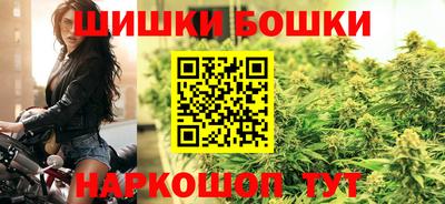 шишки Владимир